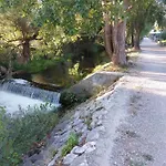 Nela *