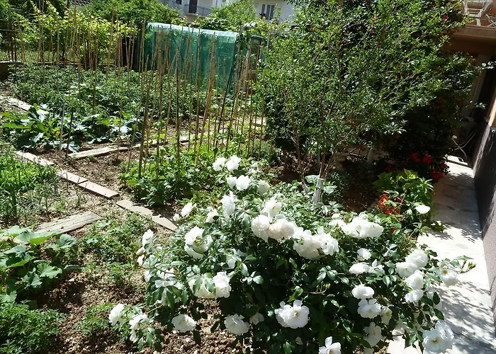 Nela Appartamento *