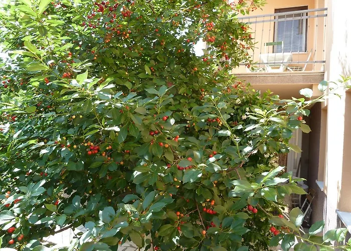 Nela Appartamento Podstrana